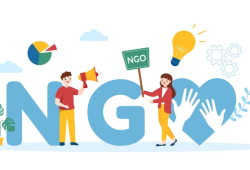 ngo.png